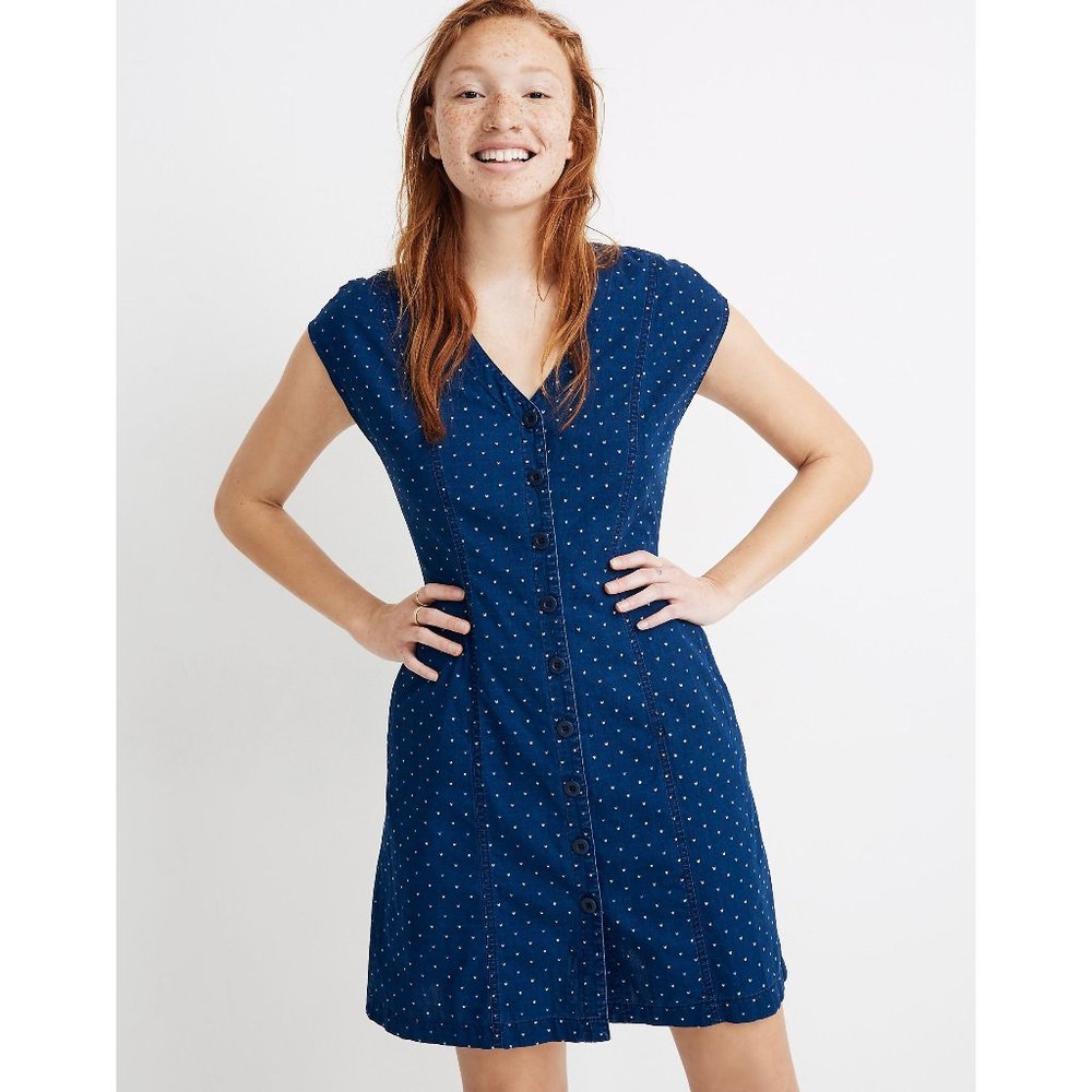 Madewell Blue Polka Dot Dress